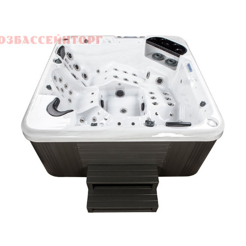 Гидромассажный бассейн (2,2 х 2,2 х 0,96 м) Dreamline-II 2200 IQUE СПА бассейн Dreamline-II 2200 DD-BPM (WiFi+MICROSILK) предназначен для принятия гидро и аэромассажных процедур. Рассчитан на 5 человек (2 лежачих места). Объем бассейна (90%) - 1950 л.